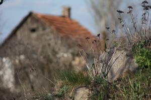 Пример фотографии снятой на Canon 450D + Юпитер-37А (135/3,5) + переходник canon EOS-M42