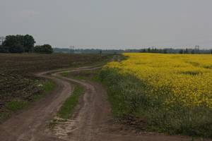 Пример фотографии снятой на Canon 450D + Юпитер-37А (135/3,5) + переходник canon EOS-M42